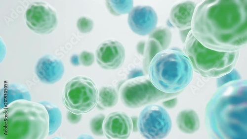 Microscopic View of Floating Biological Cells or Bacteria in Fluid