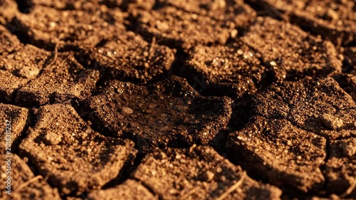 Close up of cracked dry earth with a small puddle of dark water in the center, representing drought and arid conditions