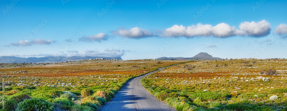 Naklejka premium Road, landscape and countryside with field, mountains and clouds in sky with infrastructure for transport. Outdoor, nature and environment with highway, shrub and banner on savanna at national park