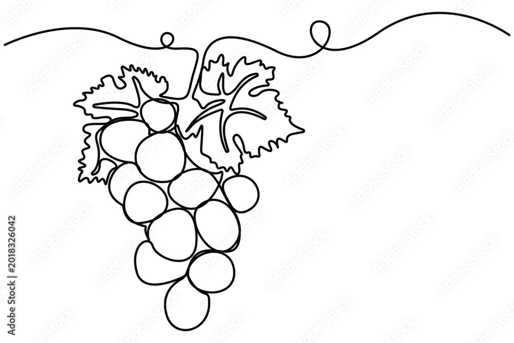 Obraz premium Grapes continuous one line drawing minimalist fruit outline vector illustration.Grapes minimalist continuous line drawing decorative fruit outline vector.botanical fruit,elegant fruit sketch.