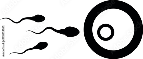 Photos Sperm cells and egg cell illustration black and white on transparent background