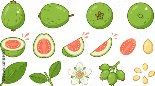 Quadro su tela Tropical Guava Fruit Vector Icon Set Featuring Whole Fruits, Sliced Pink Guava,