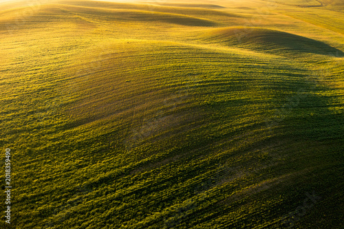 Tuscany landscape featuring rolling green fields bathed in golden light, an undulating agricultural environment perfect for tourism and destination concepts in Orcia valley, Pienza, Italy.
