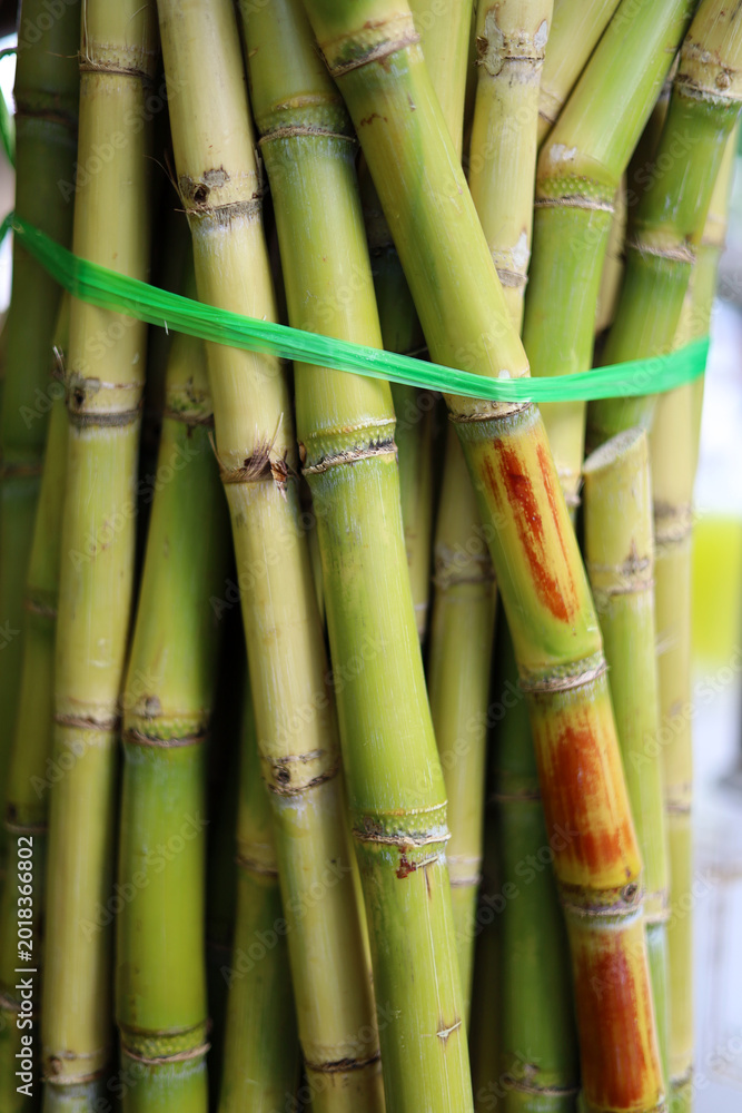 Obraz premium Fresh sugarcane stalks ready for making sweet juice.