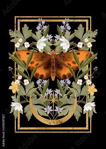 Obraz na plátně Ornate Botanical Moth Illustration in Golden Frame with White Flowers