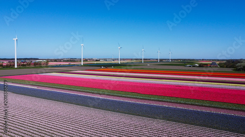 Konstfotografi Wind turbines generate clean electricity beside vibrant flower fields, creating a harmonious ecosystem where renewable energy supports sustainable floriculture