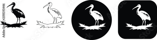 Photos Standing ibis bird silhouette and outline set on white and black backgrounds wad