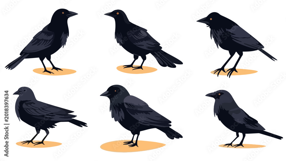 Fototapeta premium Black cute creepy crow character animation, cartoon flat style