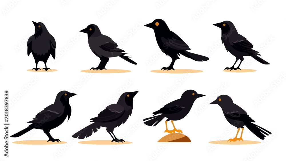 Fototapeta premium Black cute creepy crow character animation, cartoon flat style