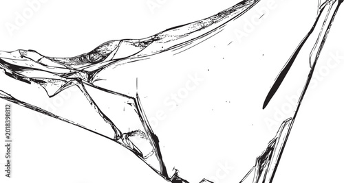 Photos pterodactyl wing sketch black and white illustration on white background