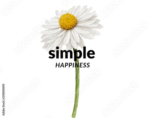 camomile on white background simple happiness flowers Sunflower logo. Agribusiness emblem. Vector illustration