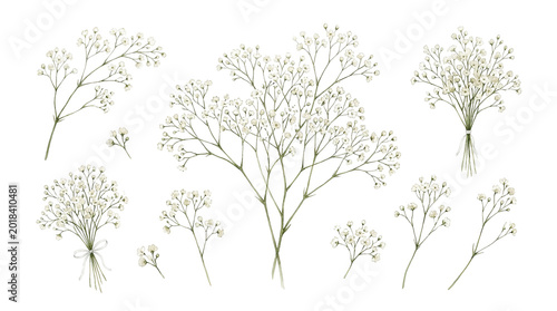 Delicate Baby's Breath Sprigs, Elegant Floral Elements, White Flower Bouquets, Botanical Illustration for Wedding Invitations and Romantic Designs