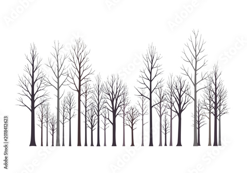 Bild auf Leinwand Bare Trees Silhouettes Against White Background.