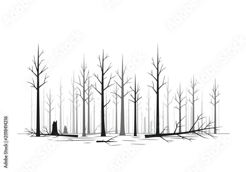 Quadro su tela Silhouette of a desolate forest with bare trees and fallen logs.