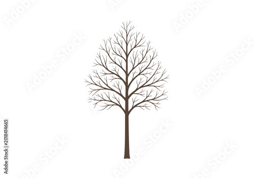 Foto Bare Tree Silhouette with Intricate Branching Pattern.