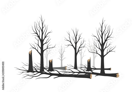 Charred Trees and Fallen Trunks After Forest Fire.
