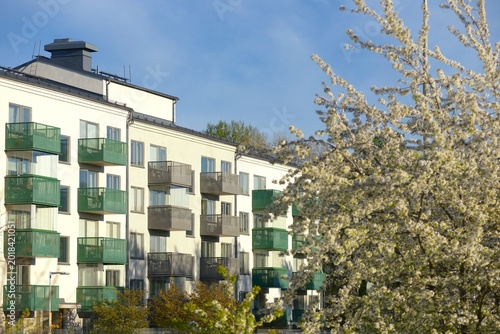 Photography New residential buildings along a public park with bushes and trees in the foreg
