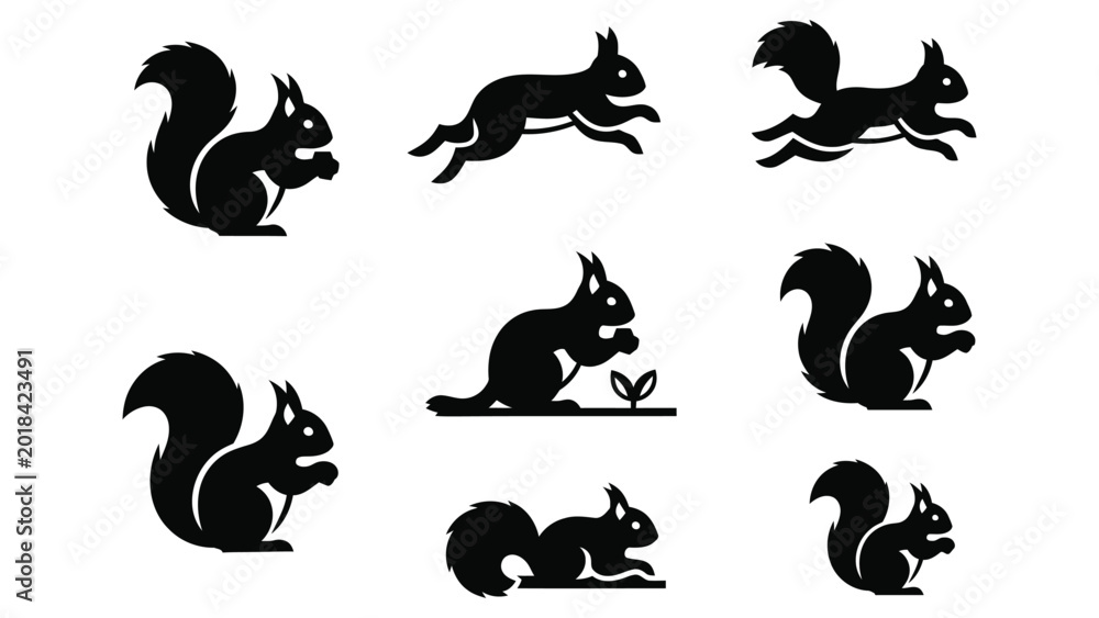 Fototapeta premium Set of squirrel vector silhouette icons in various poses.