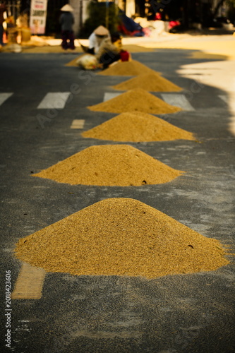 Pyramids of rice drying on the road