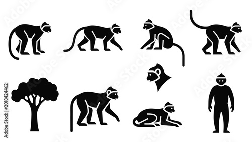 Primate evolution silhouette collection including monkeys and human figures on white background.