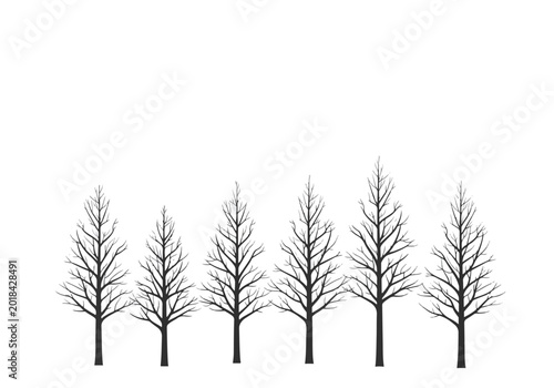 Konstfotografi Bare Trees Silhouettes Against White Background.