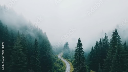 Aerial slow pan of winding road curving through foggy pine forest in mountainous valley at dawn