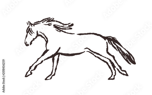 Contour horse sketch, side view. Equine animal walking, brush drawing, outlin...