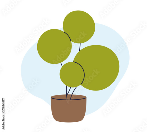 Abstract leaf plant growing in pot. Home greenery, houseplant with big round ...