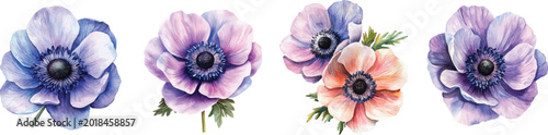 Photos Set of anemone flower painting, Minimal yet artistic elements for creative designs