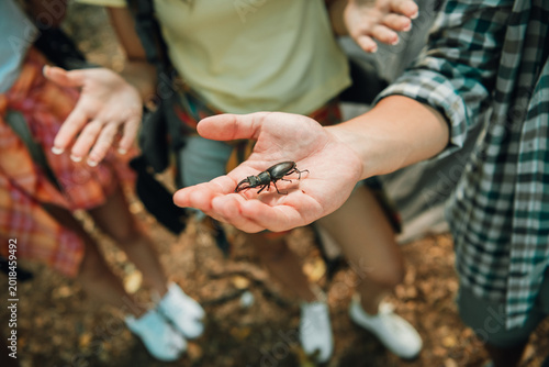 Photos Child holding a stag beetle in hand while friends gather outdoors, curious kids