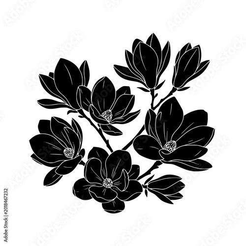 Magnolia flower branch silhouette illustration with white line detail on white background