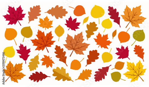 Photos Decorative fall leaves vector illustration with colorful autumn foliage isolated