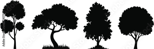 Forest landscape silhouette with flying birds flat vector illustration nature scenery artwork design
