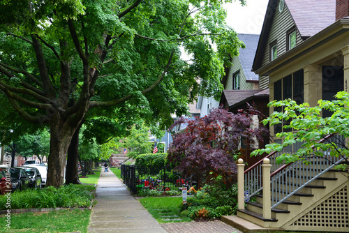 Summer rain in a residential neighborhood of Chicago