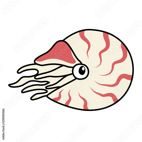 Tableau sur toile Cute Nautilus