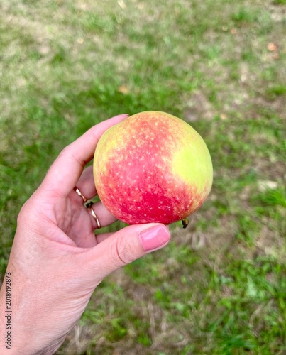 apple in hand