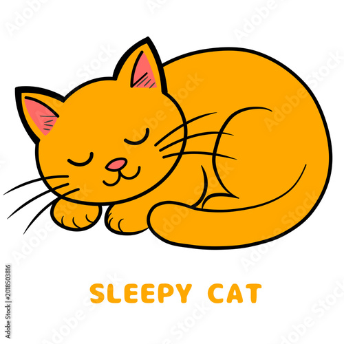 Simple cartoon illustration of a ginger cat curled up and sleeping peacefully on a transparent background with yellow text below.
