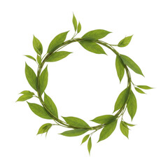 Green leaf wreath with white background