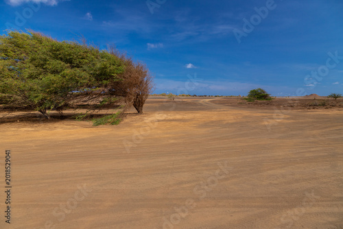 Canvastavla The Terra Boa (english: Good Land) desert at Sal Island in Cape Verde is a unique, flat, open area in the north of the island that stretches as far as the eye can see