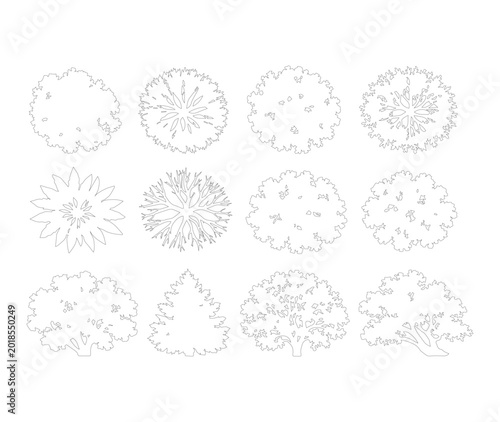 Minimalist tree top view symbols, architectural landscape plan icons, set of 12 thin line vector trees for site mapping and garden design
