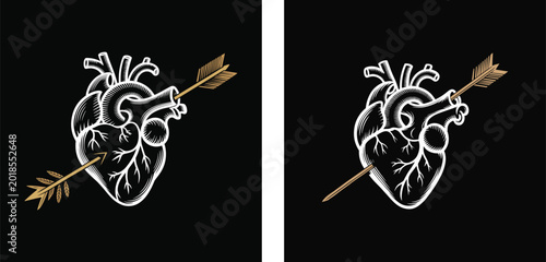 Anatomical Heart with Arrow Gothic Tattoo Illustration. Human Heart Pierced by Arrow Dark Vector Design.