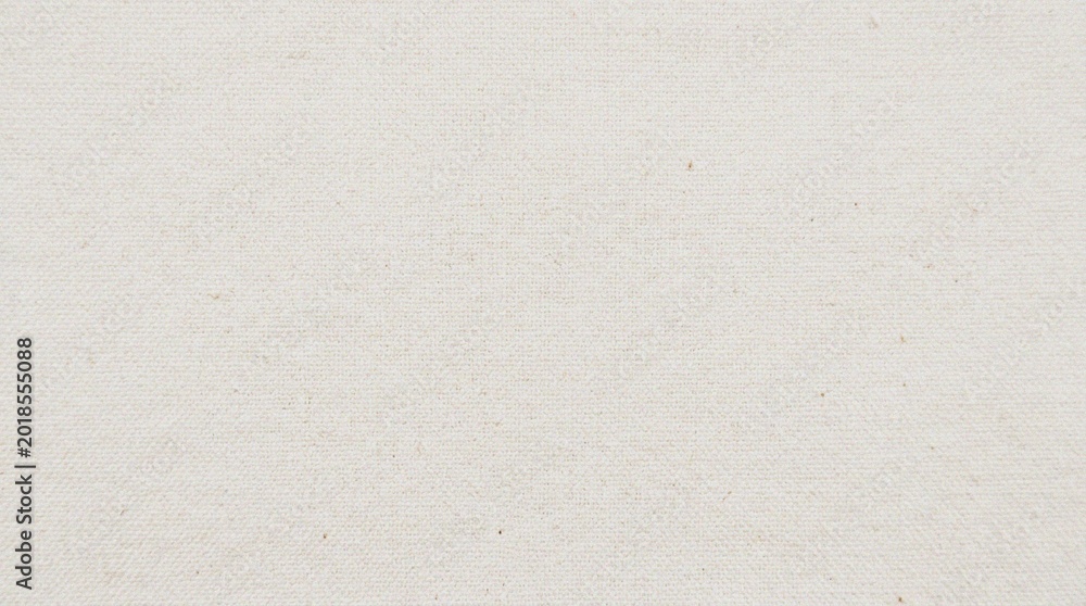 Fototapeta premium A blank white surface with texture.
