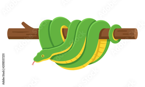 Foto Green snake coiled on a tree branch vector illustration
