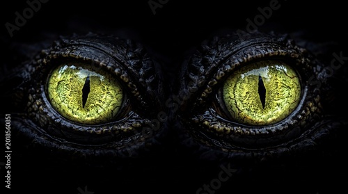 Intense Gaze - Close-up of Alligator Eyes in Dramatic Darkness.