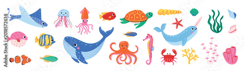 Cute sea animals and ocean elements collection. Whale, narwhal, stingray, turtle, octopus, jellyfish, fish, coral and seashells. Underwater marine life set for kids design. Vector illustration.