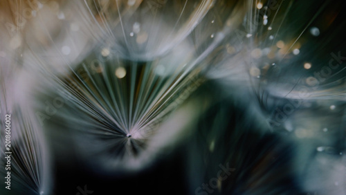 Obraz na plátně Abstract Green Tech Nature Background Collection with Dew Drops and Futuristic B