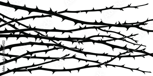 Photography Thorny Branch Silhouette Collection with Sharp Nature Vines for Botanical and De