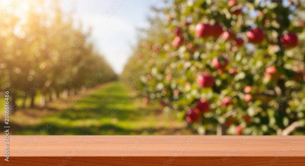 Fototapeta premium Sunny apple garden blurred background with wooden table