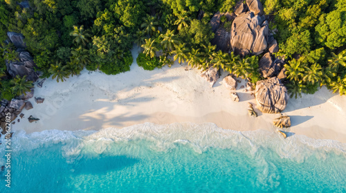 Aerial view of a pristine tropical beach with white sand, turquoise water, and lush green palm trees.