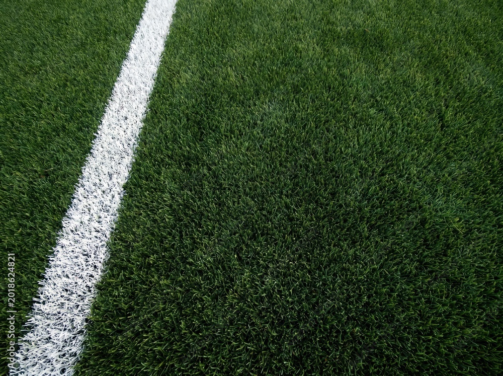 Fototapeta premium Vibrant Green Soccer Field Grass with White Line
